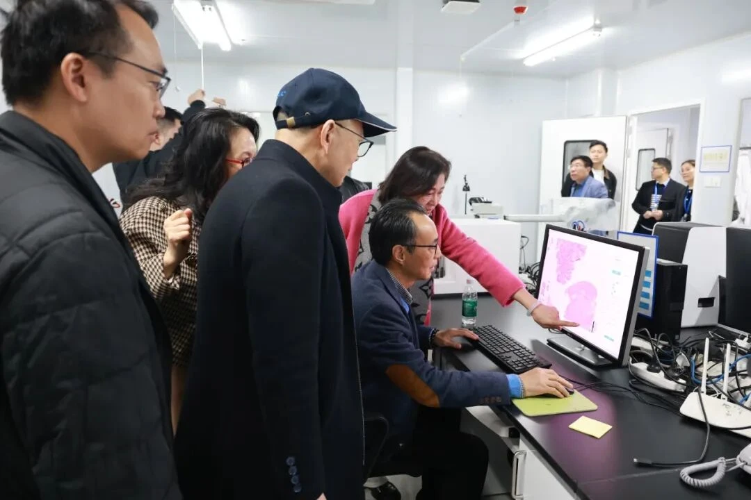 图片17